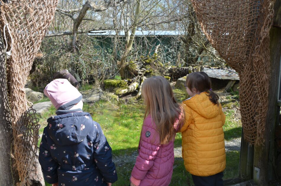 Drei Kinder mit dickeren Jacken schauen ins Schaugehege