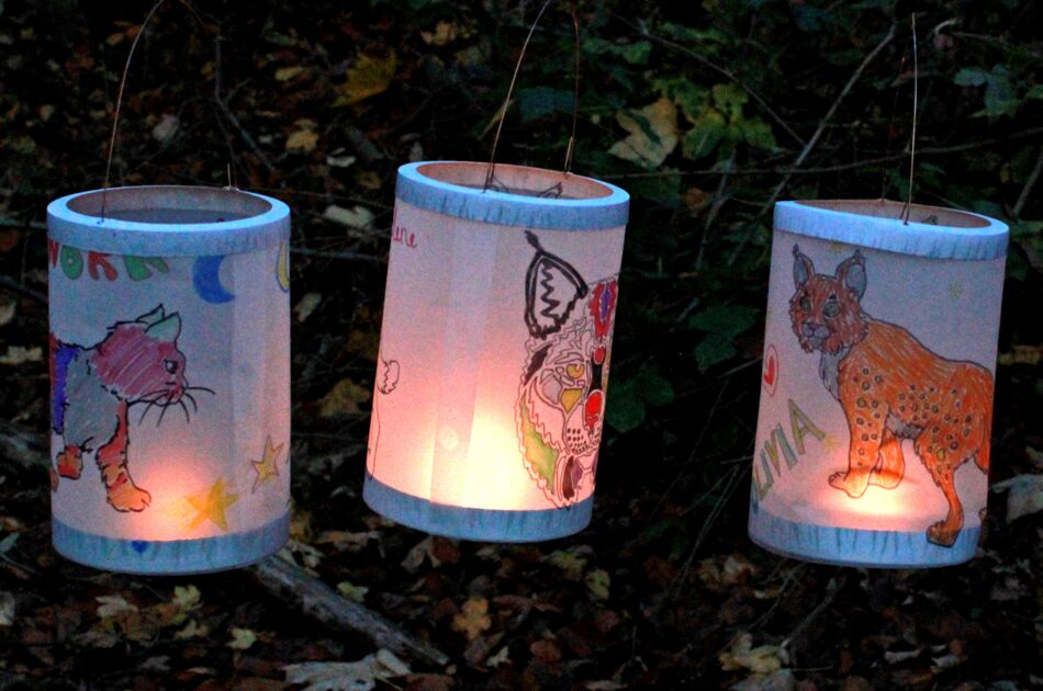 Drei leuchtende Laternen mit Tiermotiven bemalt